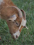 Click to see Y_100-400-a0939.JPG