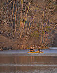 Click to see Y_100-400-b0852-EDIT.JPG