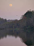 Click to see Y_100-400-b0902-EDIT.JPG