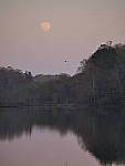 Click to see Y_100-400-b0902.JPG