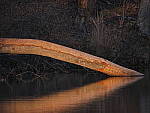 Click to see Y_100-400-b0903.JPG