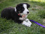 Click to see Y_1030428.JPG