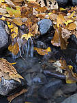 Click to see Y_1030523-MOD.JPG