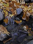 Click to see Y_1030523.JPG