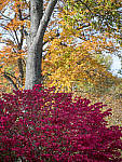 Click to see Y_1030531-MOD.JPG