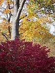 Click to see Y_1030531.JPG