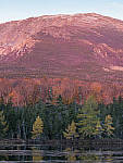 Click to see Y_1030740-MOD.JPG