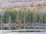 Click to see Y_1030745.JPG