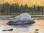 Click to see Y_1030764-ISO-200.JPG