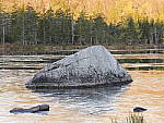 Click to see Y_1030767-ISO-800.JPG