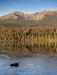 Click to see Y_1030790-MOD.JPG