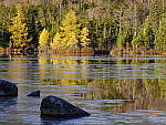 Click to see Y_1030821.JPG