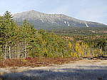 Click to see Y_1030881.JPG