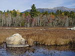 Click to see Y_1040030.JPG
