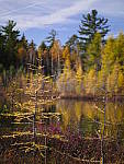 Click to see Y_1040073.JPG