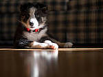 Click to see Y_1040572-MOD.JPG