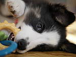 Click to see Y_1040605.JPG
