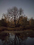 Click to see Y_1040682-MOD.JPG