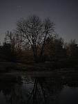 Click to see Y_1040682.JPG