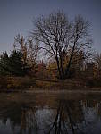 Click to see Y_1040690.JPG