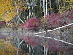 Click to see Y_1040725.JPG