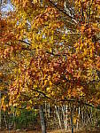 Click to see Y_1050073-HDR-Auto.JPG