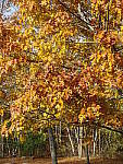 Click to see Y_1050074-No-HDR.JPG