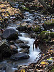 Click to see Y_1050199-MOD.JPG