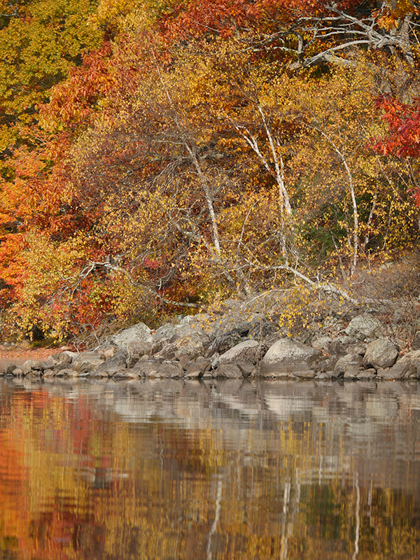 Panasonic GX8 Field Test -- Gallery Image
