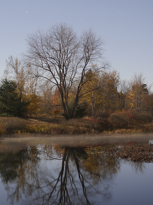 Panasonic GX8 Field Test -- Gallery Image