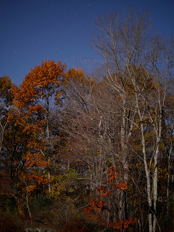 Panasonic GX8 Field Test -- Gallery Image