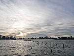 Click to see YP1040774.JPG