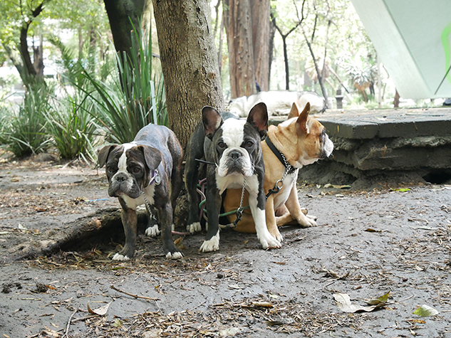 Panasonic GX85 sample image