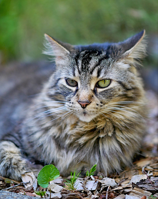 Panasonic GX85 Review - Sample Gallery Image