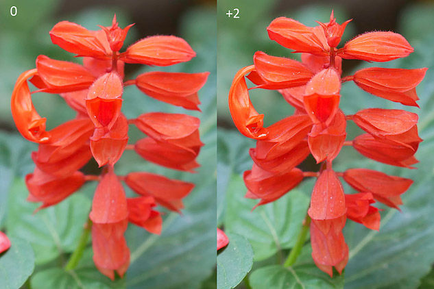 Panasonic GX85 sample image