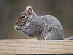 Click to see Y_1020128.JPG