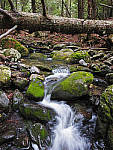 Click to see Y_1020498-MOD.JPG