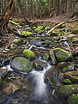 Click to see Y_1020505-MOD.JPG