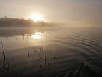 Click to see Y_1020535.JPG