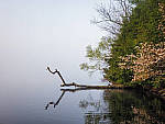 Click to see Y_1020543-MOD.JPG
