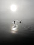 Click to see Y_1020555.JPG