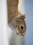 Click to see Y_1020741.JPG