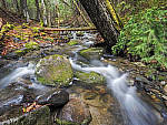 Click to see Y_1020810-MOD.JPG