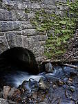 Click to see Y_1030007.JPG