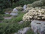 Click to see Y_1030018.JPG