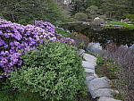 Click to see Y_1030020.JPG