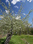 Click to see Y_1030108.JPG