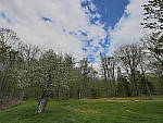 Click to see Y_1030132-HDR-AUTO.JPG