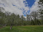 Click to see Y_1030133-HDR-3EV.JPG