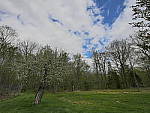 Click to see Y_1030134-HDR-2EV.JPG